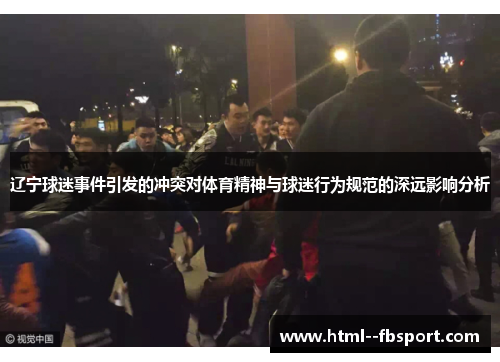 辽宁球迷事件引发的冲突对体育精神与球迷行为规范的深远影响分析